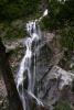 Powerscourt Gardens (2014)