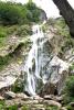 Powerscourt Gardens (2014)