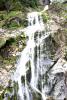 Powerscourt Gardens (2014)