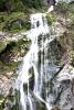 Powerscourt Gardens (2014)