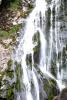Powerscourt Gardens (2014)