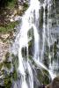 Powerscourt Gardens (2014)