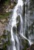 Powerscourt Gardens (2014)