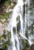 Powerscourt Gardens (2014)