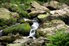 Powerscourt Gardens (2014)