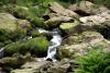 Powerscourt Gardens (2014)