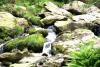 Powerscourt Gardens (2014)