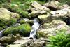 Powerscourt Gardens (2014)