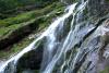 Powerscourt Gardens (2014)