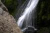 Powerscourt Gardens (2014)