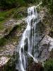 Powerscourt Gardens (2014)