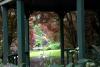 Mount Usher Gardens (2014)