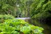 Mount Usher Gardens (2014)