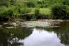 Mount Usher Gardens (2014)