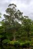 Mount Usher Gardens (2014)