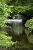 Mount Usher Gardens (2014)