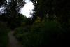 Mount Usher Gardens (2014)