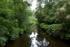 Mount Usher Gardens (2014)