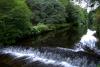 Mount Usher Gardens (2014)