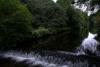 Mount Usher Gardens (2014)