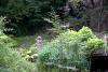 Mount Usher Gardens (2014)