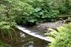 Mount Usher Gardens (2014)