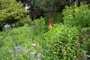 Mount Usher Gardens (2014)