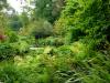 Mount Usher Gardens (2014)