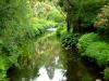 Mount Usher Gardens (2014)