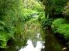 Mount Usher Gardens (2014)