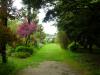 Mount Usher Gardens (2014)