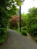 Mount Usher Gardens (2014)