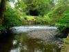 Mount Usher Gardens (2014)
