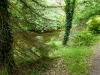 Mount Usher Gardens (2014)