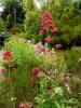 Mount Usher Gardens (2014)