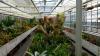 Botanischer Garten (2014)