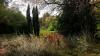 Botanischer Garten (2014)