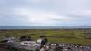 Harlech Castle