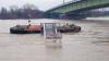 Hochwasser am Rhein (2018)