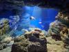 Barcelona Aquarium