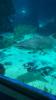 Barcelona Aquarium