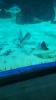 Barcelona Aquarium