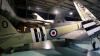 Fleet Air Srm Museum Hawker Sea Fury (2025)