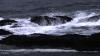 Godrevy Lighthouse (2025)