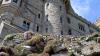 Sankt Michael's Mount (2025)
