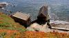 Lizard Point (2025)