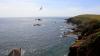Lizard Point (2025)