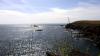 Lizard Point (2025)