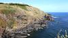 Lizard Point (2025)