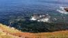 Lizard Point (2025)